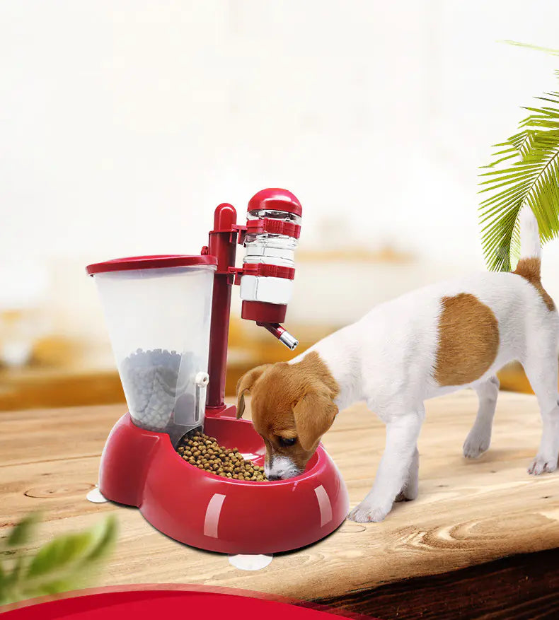 Automatic Pet Feeder and Water Dispenser for Dogs